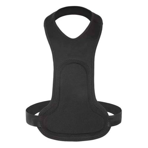 Cuscinetto pettorale con - cuscinetto,
